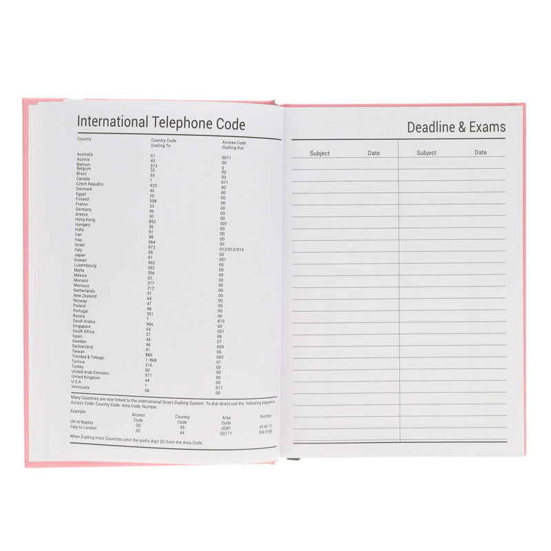 Premto Pastel A5 Page A Day Academic Diary 2025-2026 - Mint Magic