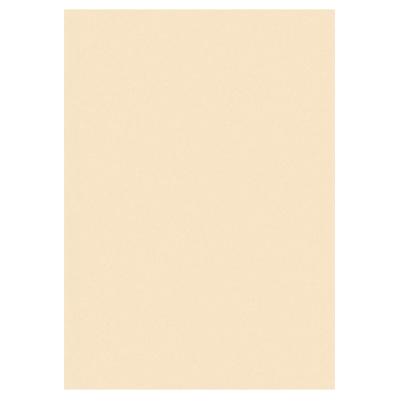 Premier Activity A3 Card - 160gsm - Ivory - 25 Sheets