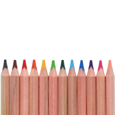 World of Colour Jumbo Triangle Easy Grip Colour Pencils - Pack of 12