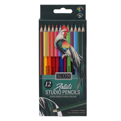 Icon Artists Studio Triangular Colouring Pencils - Pack of 12